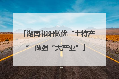湖南祁阳做优“土特产” 做强“大产业”