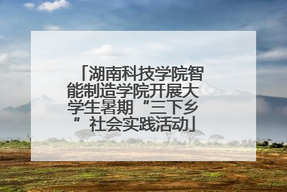 湖南科技学院智能制造学院开展大学生暑期“三下乡”社会实践活动