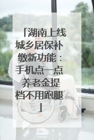 湖南上线城乡居保补缴新功能：手机点一点 养老金提档不用跑腿