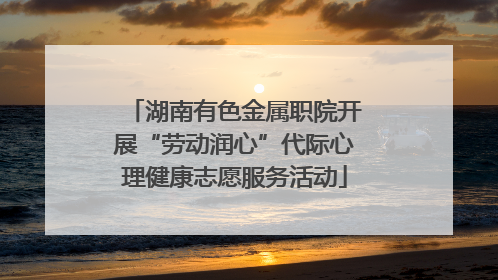 湖南有色金属职院开展“劳动润心”代际心理健康志愿服务活动