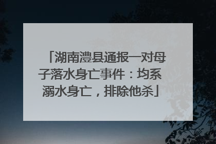湖南澧县通报一对母子落水身亡事件：均系溺水身亡，排除他杀