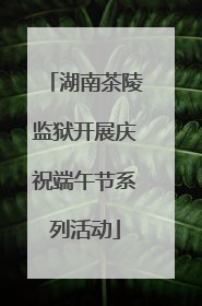 湖南茶陵监狱开展庆祝端午节系列活动