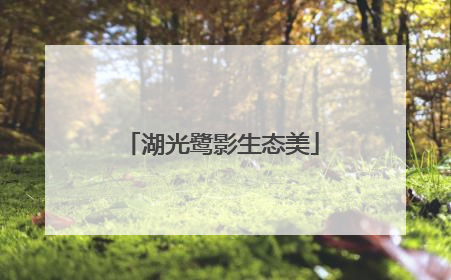 湖光鹭影生态美