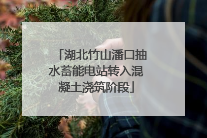 湖北竹山潘口抽水蓄能电站转入混凝土浇筑阶段