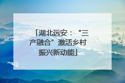 湖北远安：“三产融合”激活乡村振兴新动能
