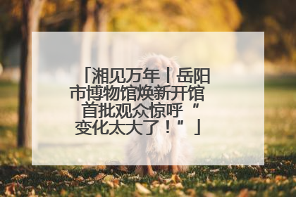 湘见万年丨岳阳市博物馆焕新开馆 首批观众惊呼“变化太大了！”
