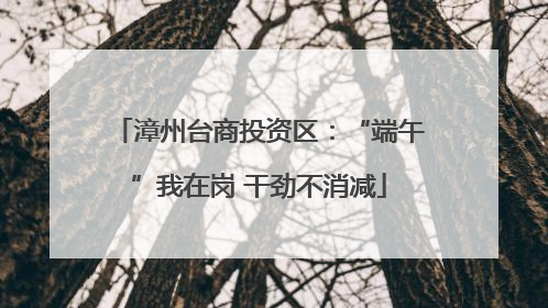 漳州台商投资区：“端午”我在岗 干劲不消减