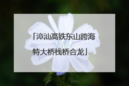 漳汕高铁东山跨海特大桥栈桥合龙