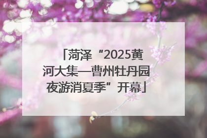 菏泽“2025黄河大集—曹州牡丹园夜游消夏季”开幕