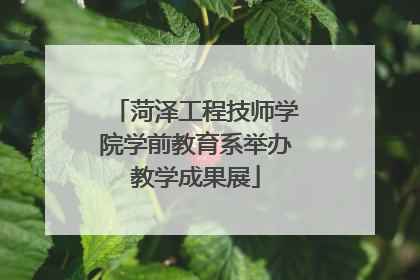 菏泽工程技师学院学前教育系举办教学成果展
