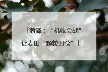 菏泽：“机收会战”让麦田“颗粒归仓”