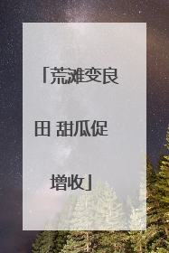 荒滩变良田 甜瓜促增收