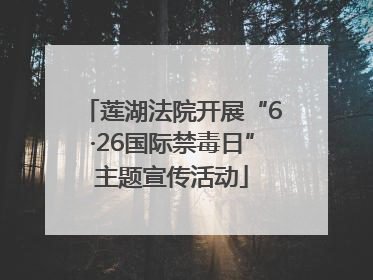 莲湖法院开展“6·26国际禁毒日”主题宣传活动