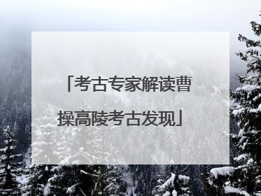 考古专家解读曹操高陵考古发现
