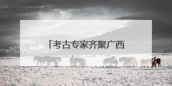 考古专家齐聚广西柳州 探讨南方史前文化发展脉络
