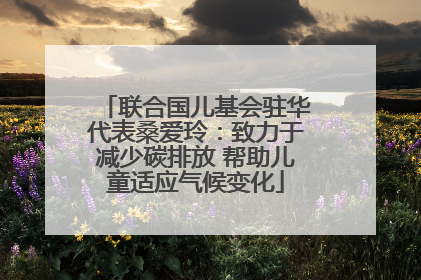 联合国儿基会驻华代表桑爱玲：致力于减少碳排放 帮助儿童适应气候变化
