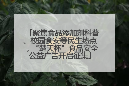 聚焦食品添加剂科普、校园食安等民生热点，“楚天杯”食品安全公益广告开启征集