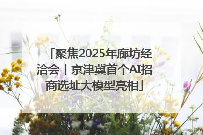 聚焦2025年廊坊经洽会丨京津冀首个AI招商选址大模型亮相