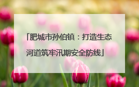 肥城市孙伯镇：打造生态河道筑牢汛期安全防线