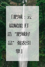 肥城：云端赋能 打造“肥城好品”强农引擎
