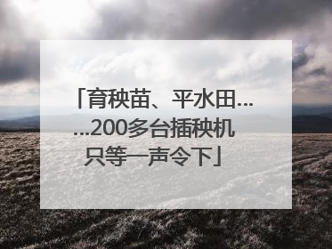 育秧苗、平水田……200多台插秧机只等一声令下