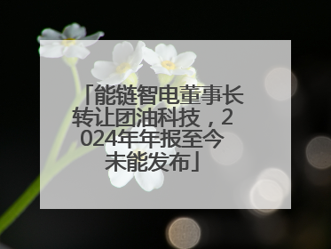 能链智电董事长转让团油科技，2024年年报至今未能发布