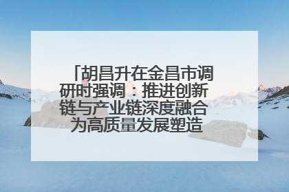 胡昌升在金昌市调研时强调：推进创新链与产业链深度融合 为高质量发展塑造新动能新优势