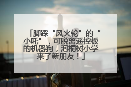 脚踩“风火轮”的“小吒”，可脱离遥控板的机器狗，泡桐树小学来了新朋友！
