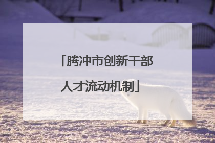 腾冲市创新干部人才流动机制