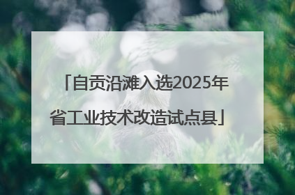 自贡沿滩入选2025年省工业技术改造试点县