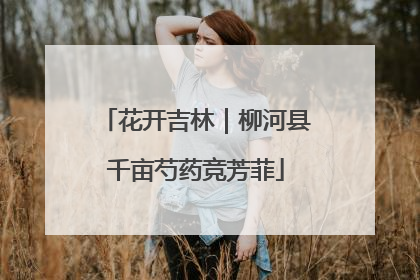 花开吉林｜柳河县千亩芍药竞芳菲