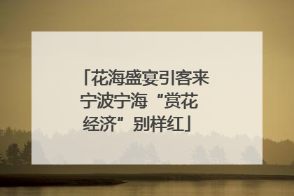 花海盛宴引客来 宁波宁海“赏花经济”别样红