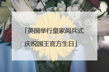 英国举行皇家阅兵式庆祝国王官方生日
