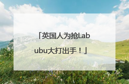 英国人为抢Labubu大打出手！