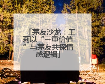 茅友沙龙：王莉以“三重价值”与茅友共探情感逻辑