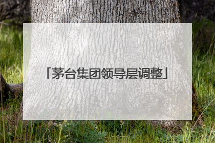 茅台集团领导层调整