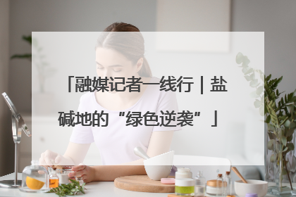 融媒记者一线行｜盐碱地的“绿色逆袭”