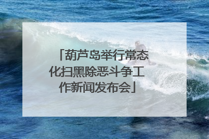 葫芦岛举行常态化扫黑除恶斗争工作新闻发布会