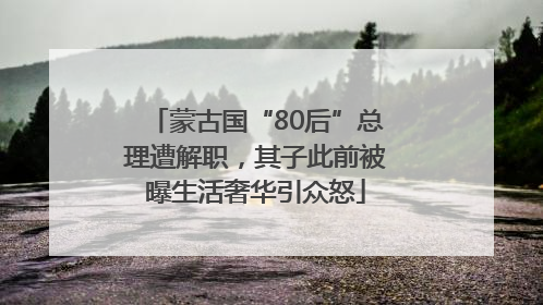 蒙古国“80后”总理遭解职，其子此前被曝生活奢华引众怒