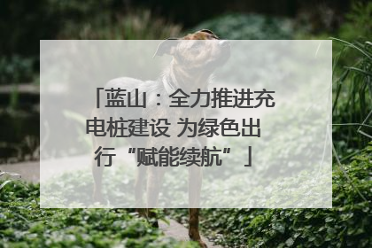 蓝山：全力推进充电桩建设 为绿色出行“赋能续航”