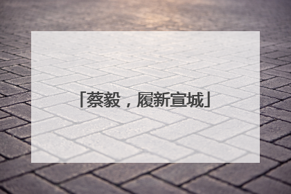 蔡毅，履新宣城