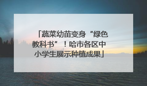 蔬菜幼苗变身“绿色教科书”！哈市各区中小学生展示种植成果