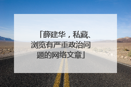 薛建华，私藏、浏览有严重政治问题的网络文章
