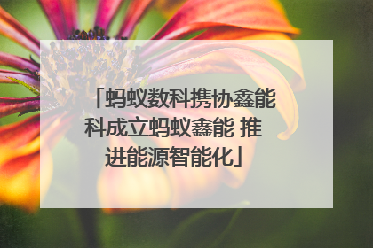 蚂蚁数科携协鑫能科成立蚂蚁鑫能 推进能源智能化