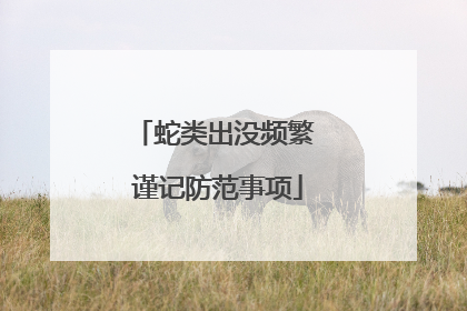 蛇类出没频繁 谨记防范事项
