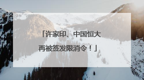 许家印、中国恒大再被签发限消令！