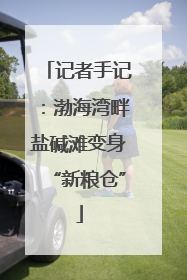 记者手记：渤海湾畔盐碱滩变身“新粮仓”