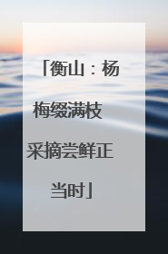 衡山：杨梅缀满枝 采摘尝鲜正当时