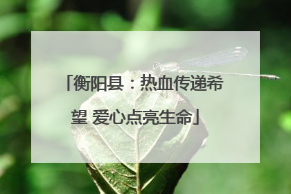 衡阳县：热血传递希望 爱心点亮生命