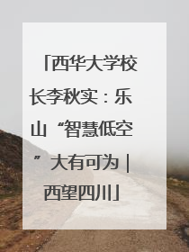 西华大学校长李秋实：乐山“智慧低空”大有可为｜西望四川